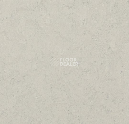 Линолеум Forbo Marmoleum Marbled Authentic 3860 silver shadow фото 1 | FLOORDEALER